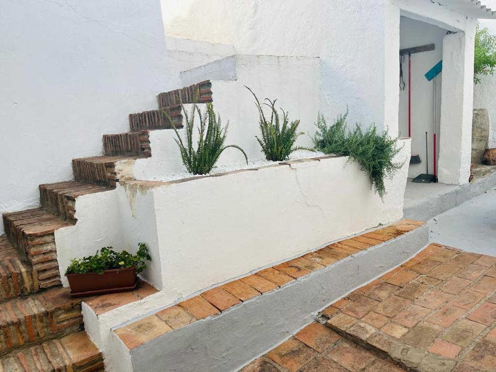 Casa Rural Dona Catalina ฮิเมนา เด ลา ฟรอนเตรา ภายนอก รูปภาพ